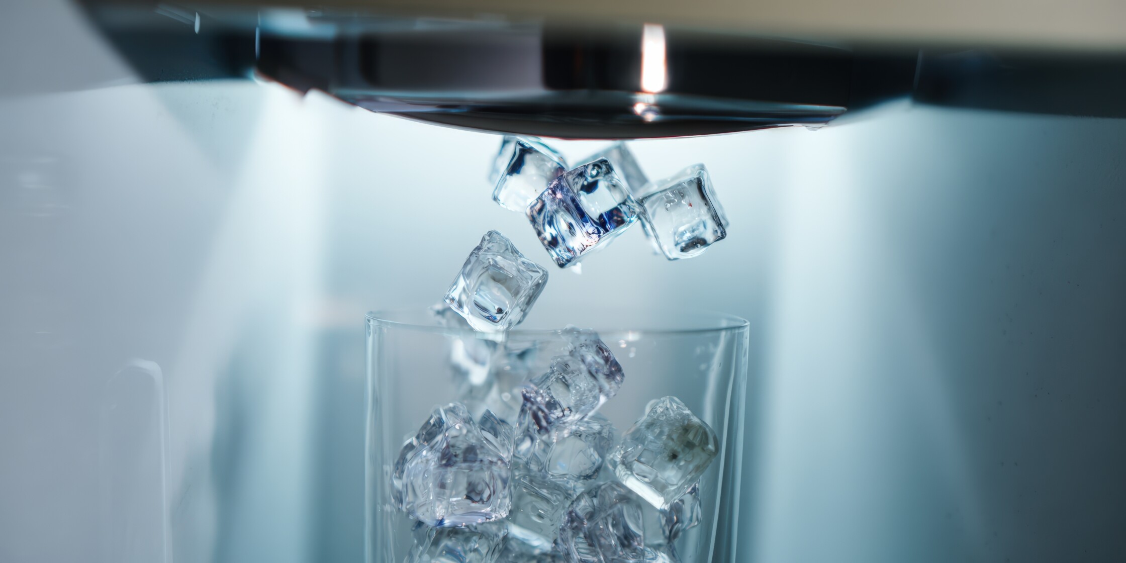 Food & Beverage Services | Distribution Centers… | Maumee Valley Group